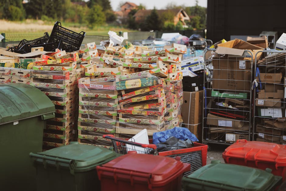 A large outdoor area displaying stacks of rectangular cardboard boxes labeled 'fresh fruits' in bright colors, arranged in multiple pile formations. To the front, there are several large color-coded plastic bins with lids, including green, red, and beige, positioned on a paved surface. Behind the fruit boxes, metal wire cages filled with assorted cardboard boxes, some open and others sealed, are visible. Some boxes contain smaller items or packaging materials. A few black plastic crates are also seen stacked or leaning on the fruit boxes. The background features a green grassy area with trees and distant residential houses under a clear sky, suggesting a private property or commercial yard setting suitable for independent rubbish collection and waste disposal. The total scene reflects a typical collection or clearance site managed by waste removal services like HouseclearanceBarnet.co.uk, emphasizing an environment prepared for rubbish removal or disposal activities.